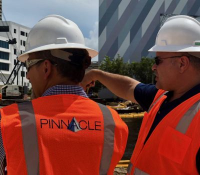 Pinnacle Field Work