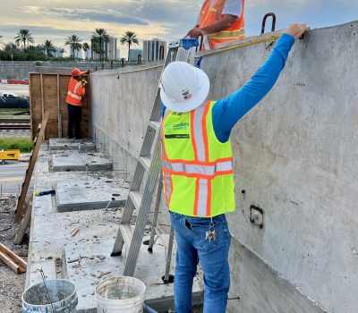 Pinnacle Field Work